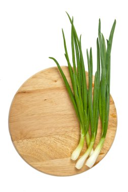 Spring onion clipart