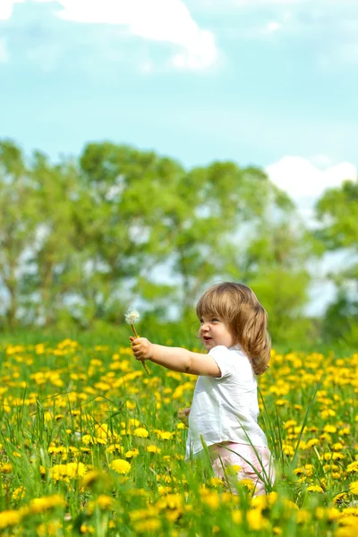 Küçük kız çayırda — Stok fotoğraf