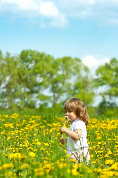 Kleines Mädchen auf einer Wiese — Stockfoto