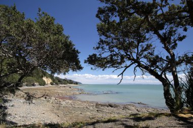 thames, coromandel yakınındaki sahil şeridi