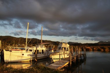 coromandel limandaki tekneler