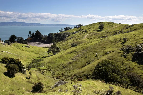 Prados e colinas na Península de Coromandel — Fotografia de Stock