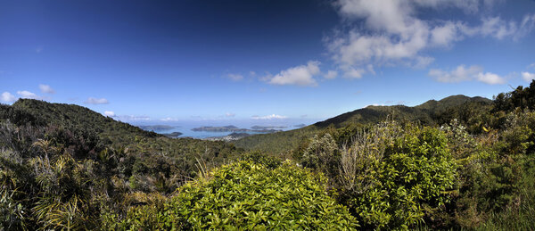 Overlooking Coromandel Town