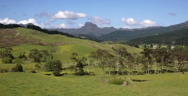 Łąki i góry na półwyspie coromandel — Zdjęcie stockowe