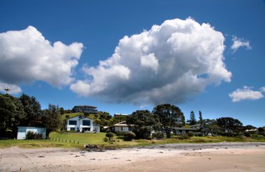 Villas near the coast of Whitianga clipart