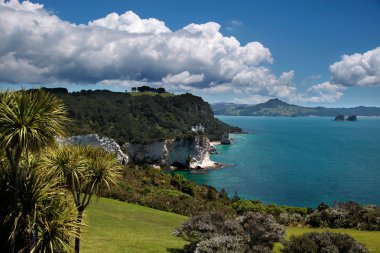 Coast line near Hahei clipart