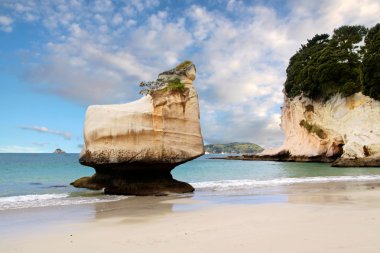 Coast near the Cathedral Cove clipart