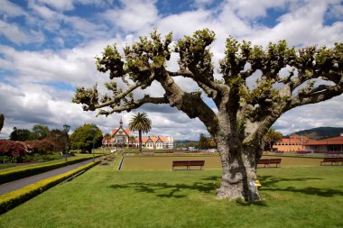 Government Gardens, Rotorua clipart