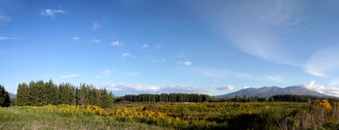 tongariro Ulusal parkta manzara