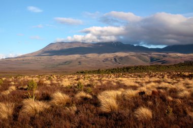 tongariro Ulusal parkta manzara