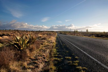 Road in the Tongariro National Park clipart