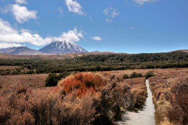 Mount ngauruhoe tongariro Ulusal Parkı