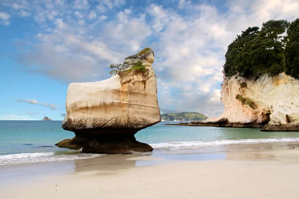 Stock image Coast near the Cathedral Cove