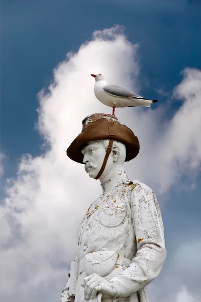 Seagull sitting on monument — Stock Photo, Image