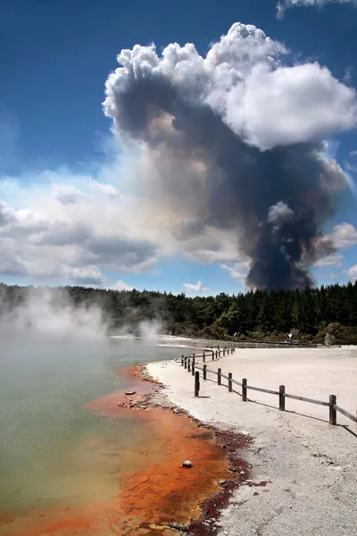 Bosbrand in de wai-o-tapu geothermisch gebied — Stockfoto