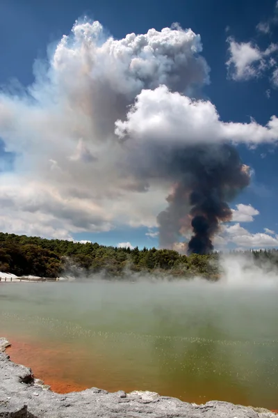 Incendie de forêt dans la zone géothermique de Wai-o-Tapu — Photo