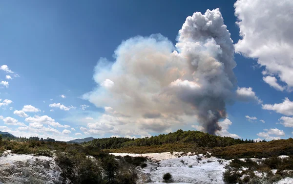 Forest fire in the Wai-o-Tapu geothermal area — Stock Photo, Image