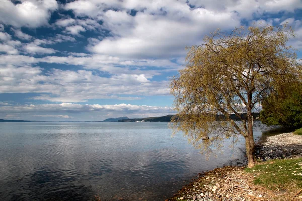Lago Taupo — Foto de Stock