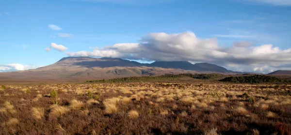 Paesaggio nel Parco Nazionale del Tongariro — Foto Stock