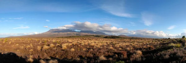 Landschap in het tongariro national park — Stockfoto