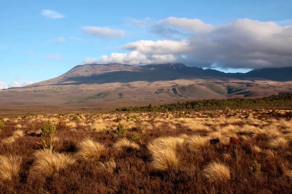 Krajobraz parku narodowego tongariro — Zdjęcie stockowe
