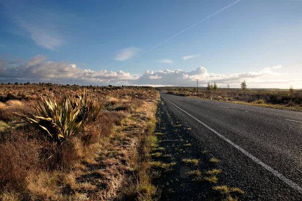 Strada nel Parco Nazionale del Tongariro — Foto Stock