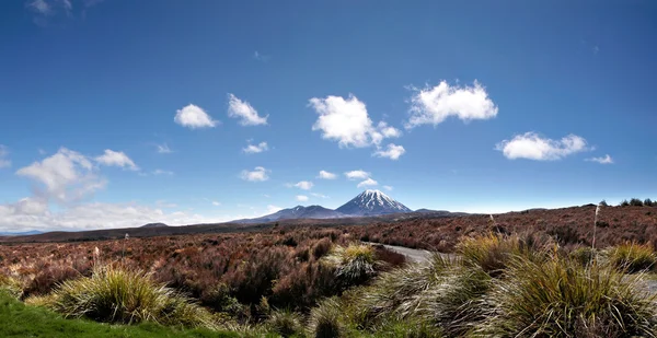 Monte Ngauruhoe en el Parque Nacional Tongariro — Foto de Stock