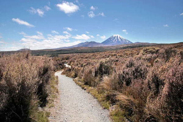 Monte Ngauruhoe en el Parque Nacional Tongariro — Foto de Stock