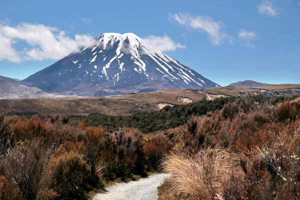 Hora ngauruhoe v národním parku tongariro — Stock fotografie