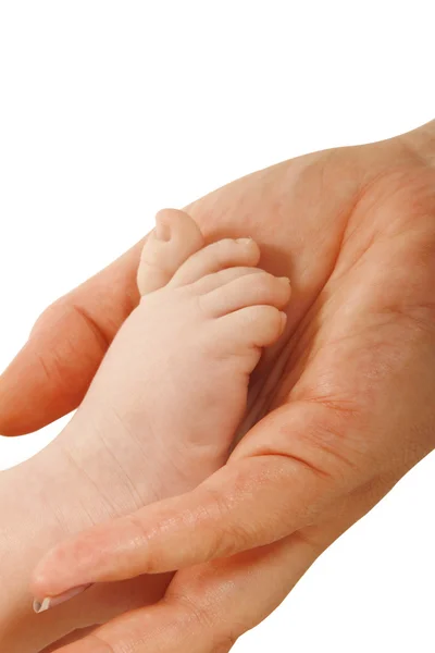 Рука матери держит детскую лапку — стоковое фото