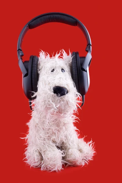 Cute white toy dog in headphones — Stock Photo, Image