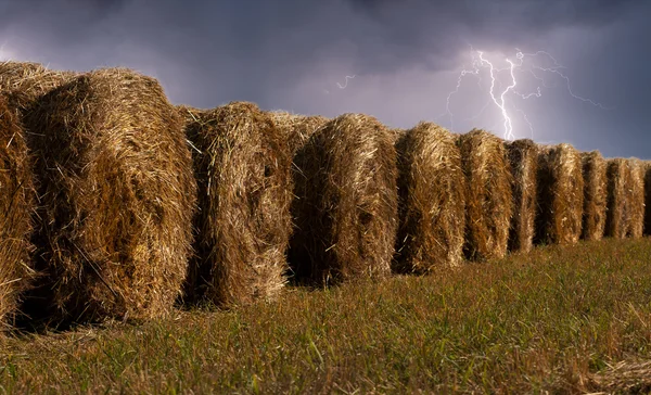 Haystacks in the field during the thunderstorm — Stock Photo, Image