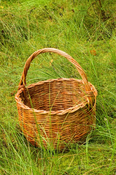 stock image Woven basket in the grass