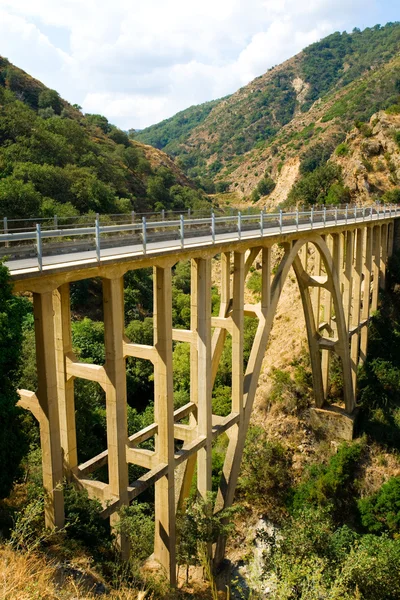Berg brug over de rivier — Stockfoto
