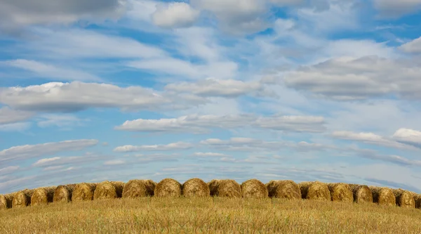 Straw stacks on the field — Stock Photo, Image