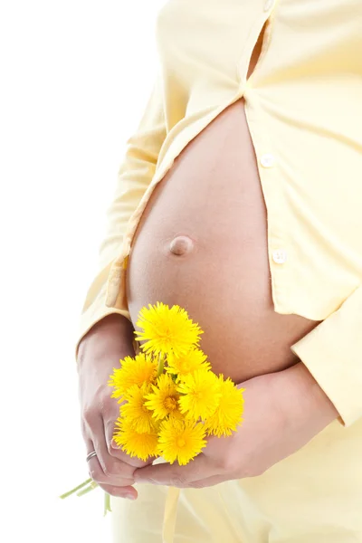 Pregnant woman holding dandelion — Stock Photo, Image