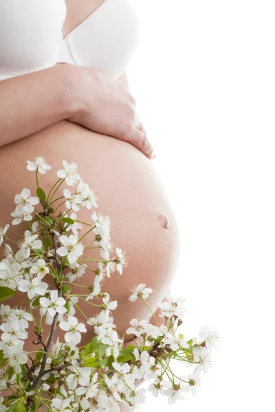 Närbild av en gravid kvinnas mage — Stockfoto
