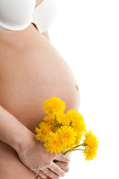 Беременная женщина с одуванчиками — стоковое фото