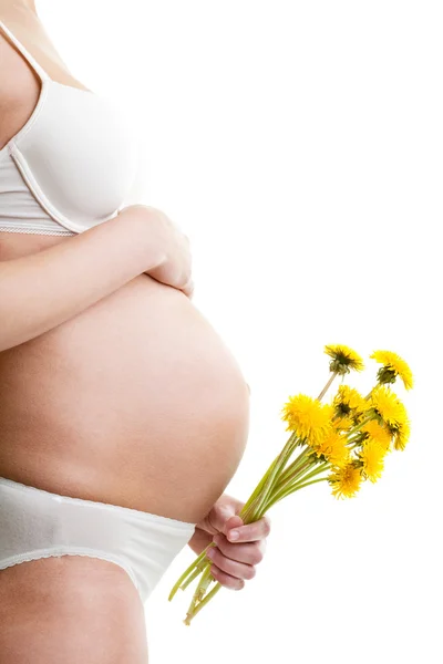 タンポポと妊娠中の女性 — ストック写真