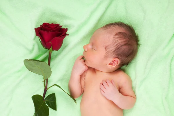 Счастливого сна новорожденному — стоковое фото