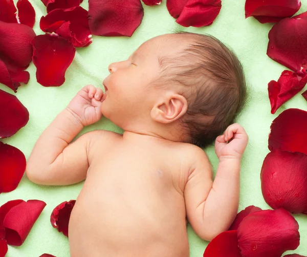 Newborn tenderness — Stock Photo, Image