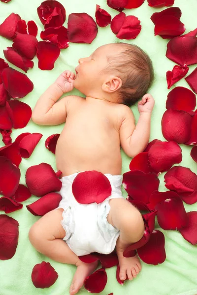 Baby legt sich in Blütenblätter — Stockfoto