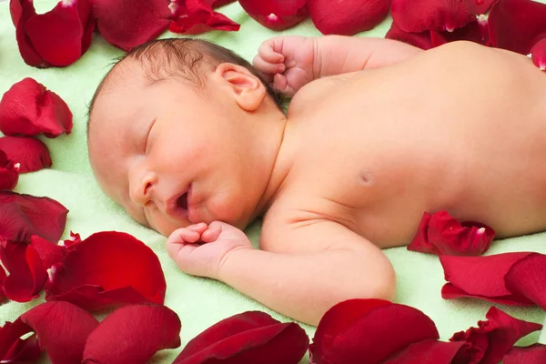 Baby sleeping in flowers — Stock Photo, Image