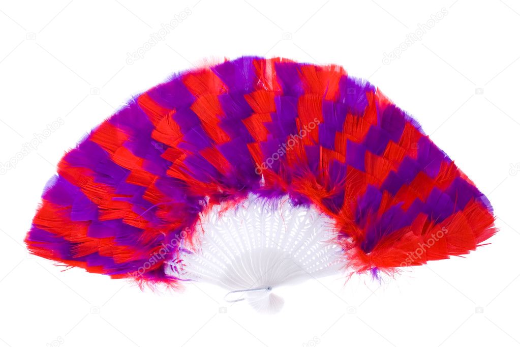 One feather fan