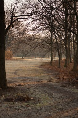 Mart ayında Tiergarten