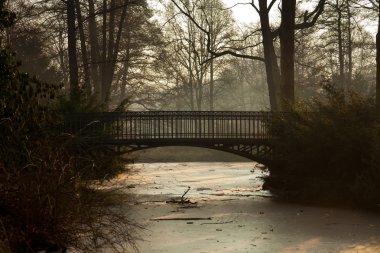 Park su birikintisi üzerinde köprü