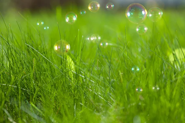 Bolhas de sabão na grama verde — Fotografia de Stock