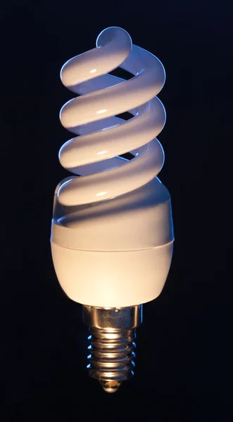 Energieeffiziente Glühbirne — Stockfoto