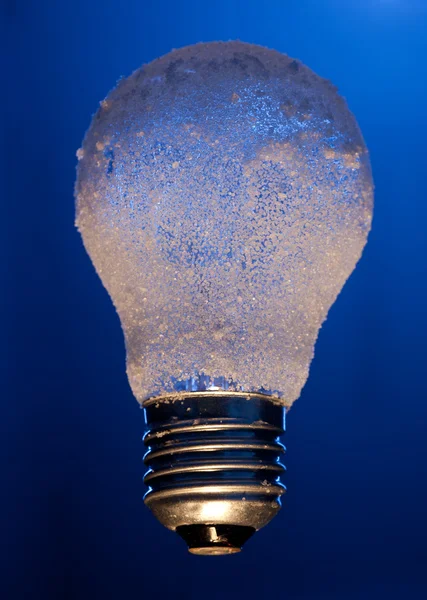Замороженная лампочка — стоковое фото
