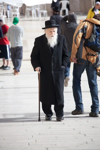 Velho homem judeu ortodox com bengala perto da parede ocidental — Fotografia de Stock